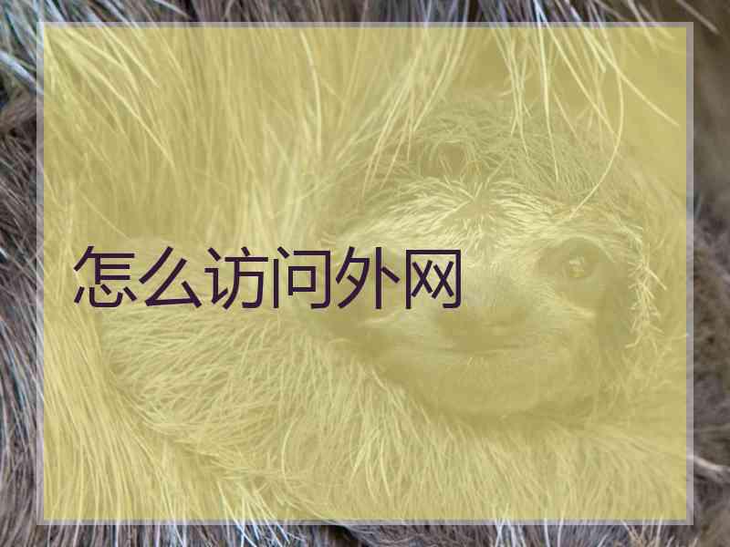 怎么访问外网