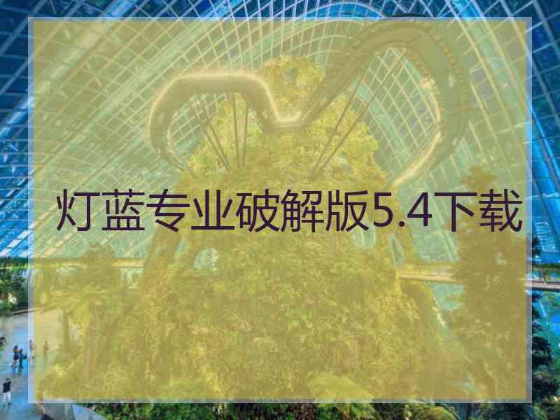 灯蓝专业破解版5.4下载