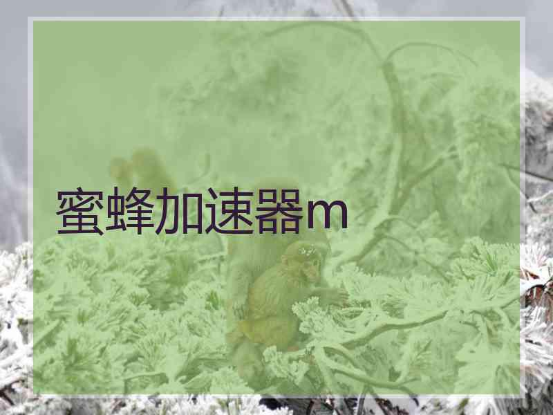 蜜蜂加速器m
