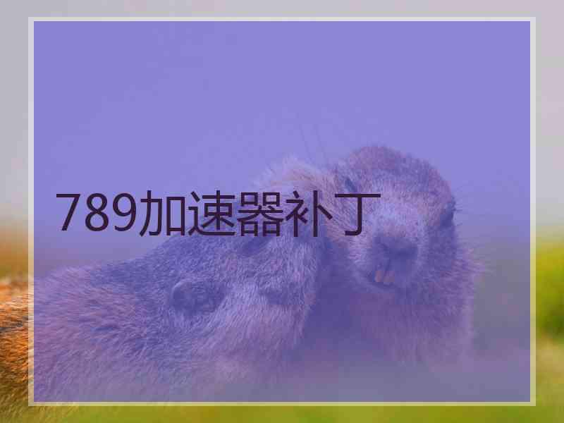 789加速器补丁