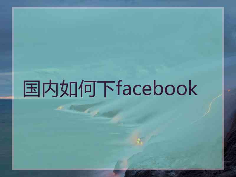 国内如何下facebook