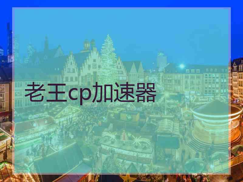 老王cp加速器