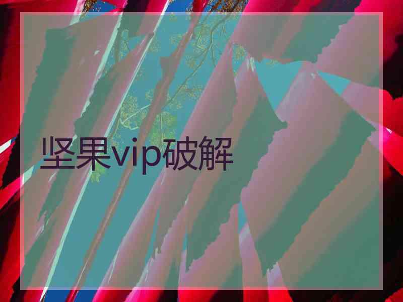 坚果vip破解