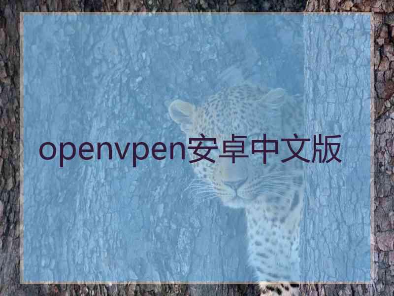 openvpen安卓中文版
