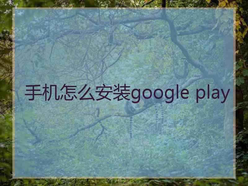 手机怎么安装google play