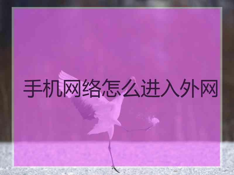 手机网络怎么进入外网