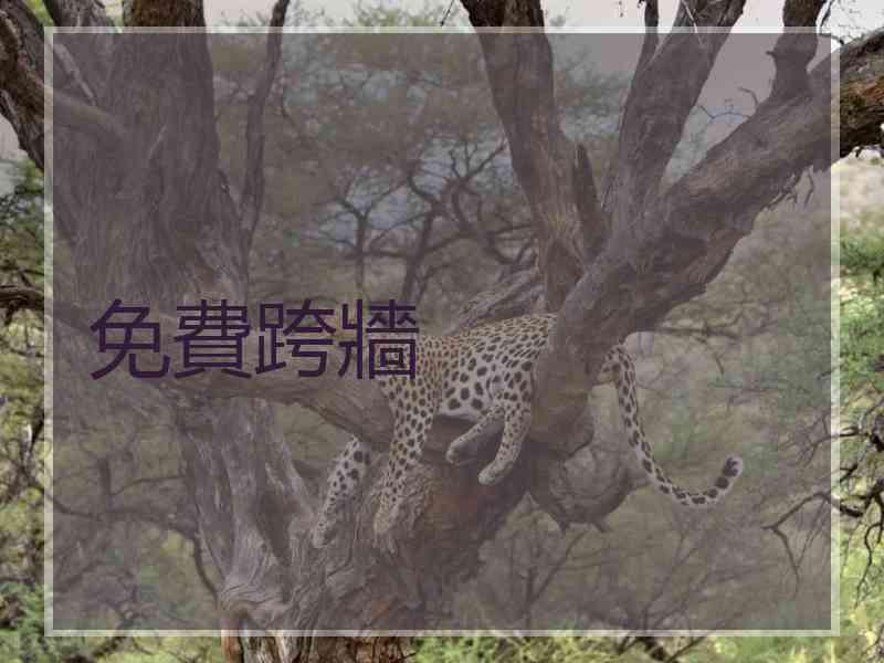 免費跨牆