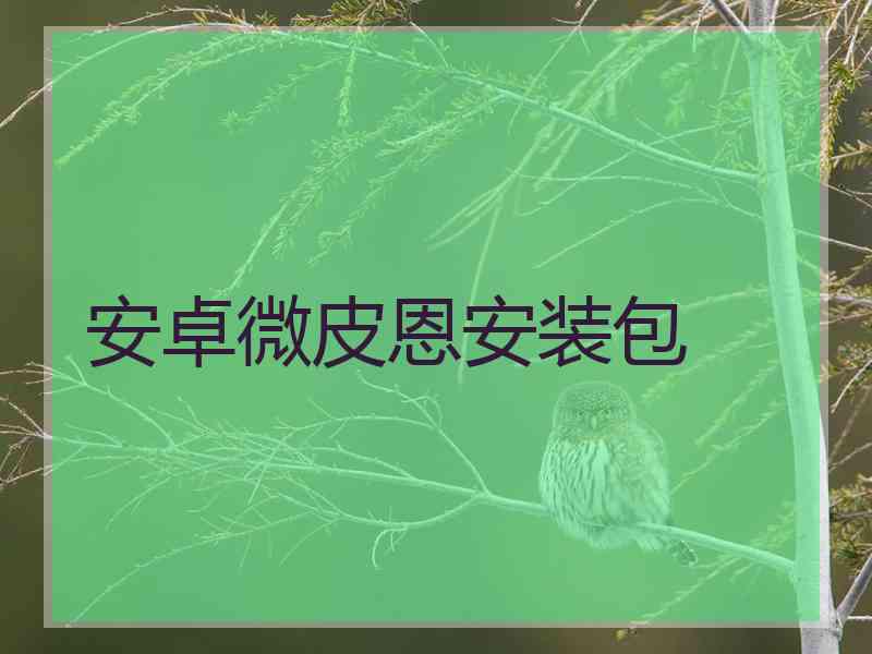 安卓微皮恩安装包