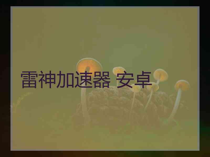 雷神加速器 安卓