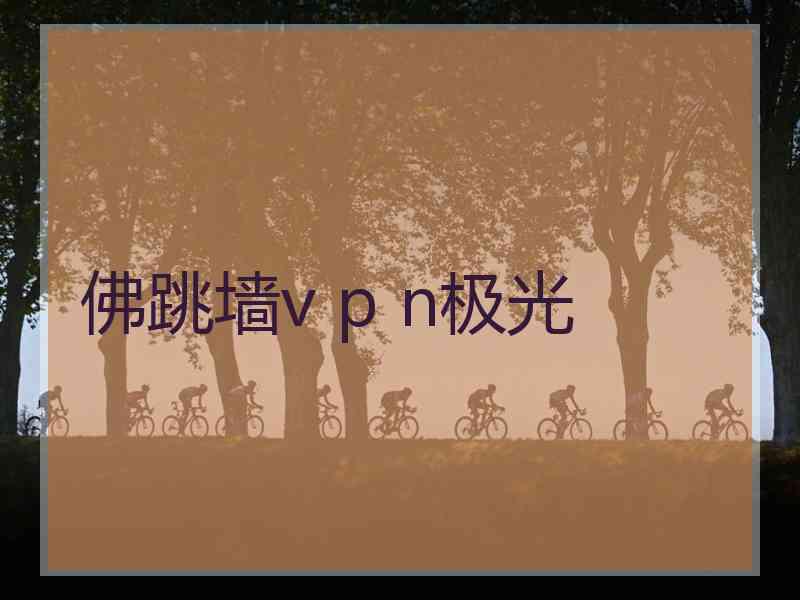 佛跳墙v p n极光