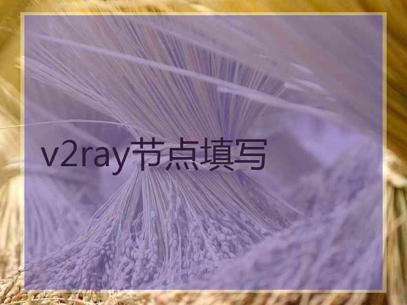 v2ray节点填写