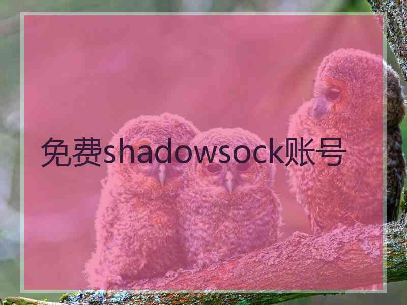 免费shadowsock账号