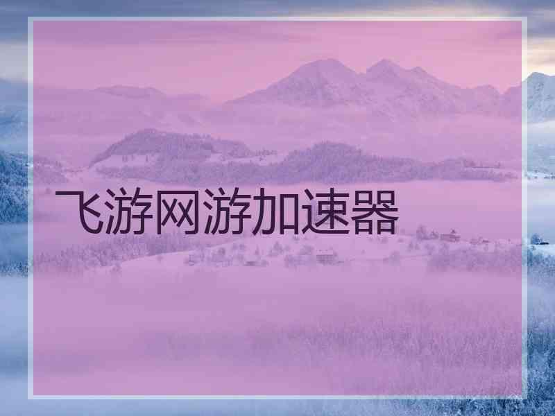 飞游网游加速器