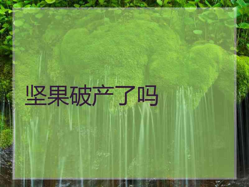 坚果破产了吗