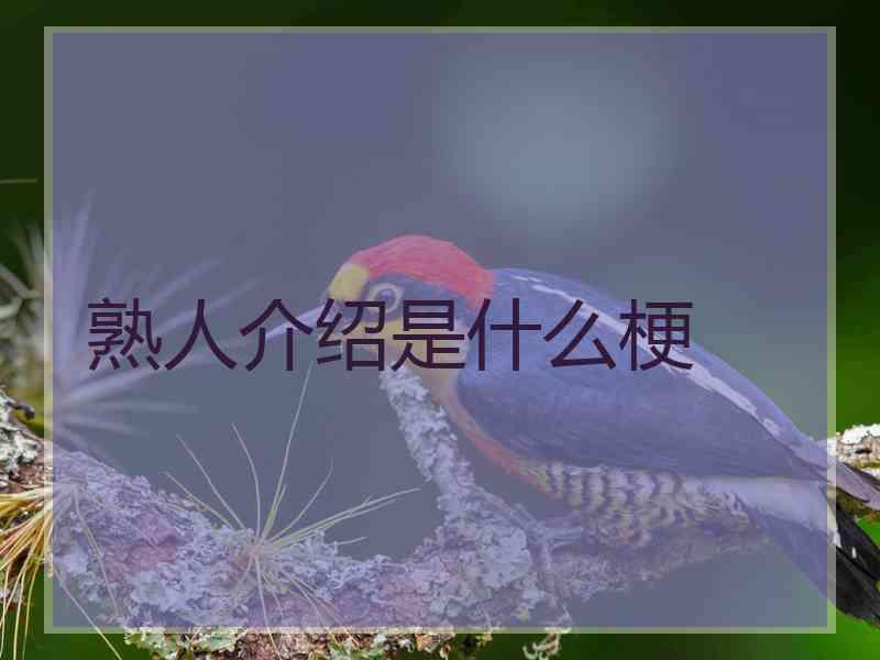 熟人介绍是什么梗
