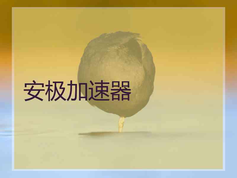 安极加速器