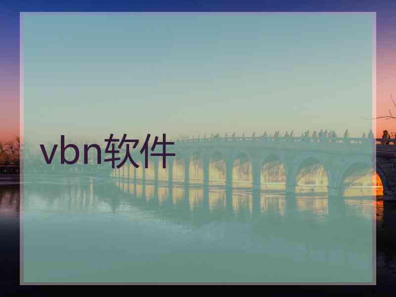 vbn软件