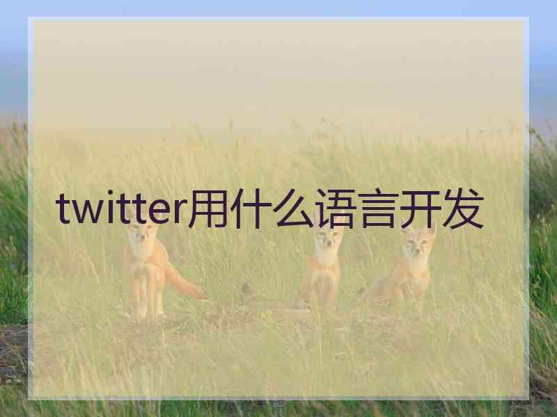 twitter用什么语言开发
