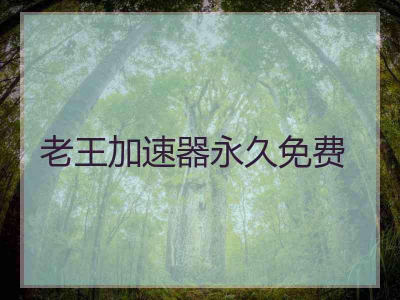 老王加速器永久免费