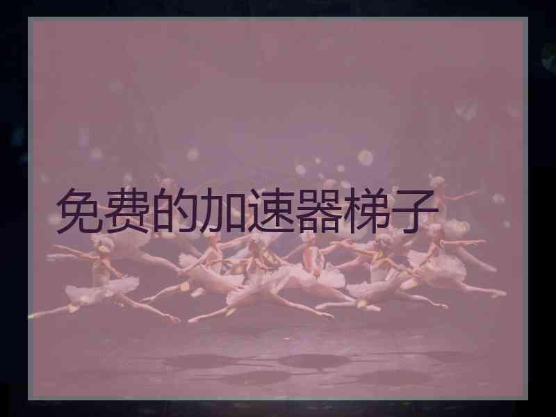 免费的加速器梯子