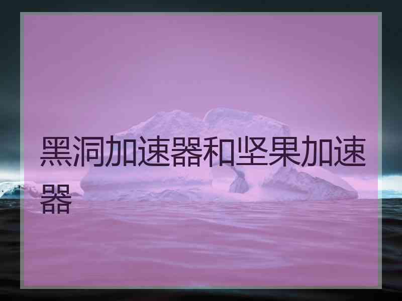 黑洞加速器和坚果加速器