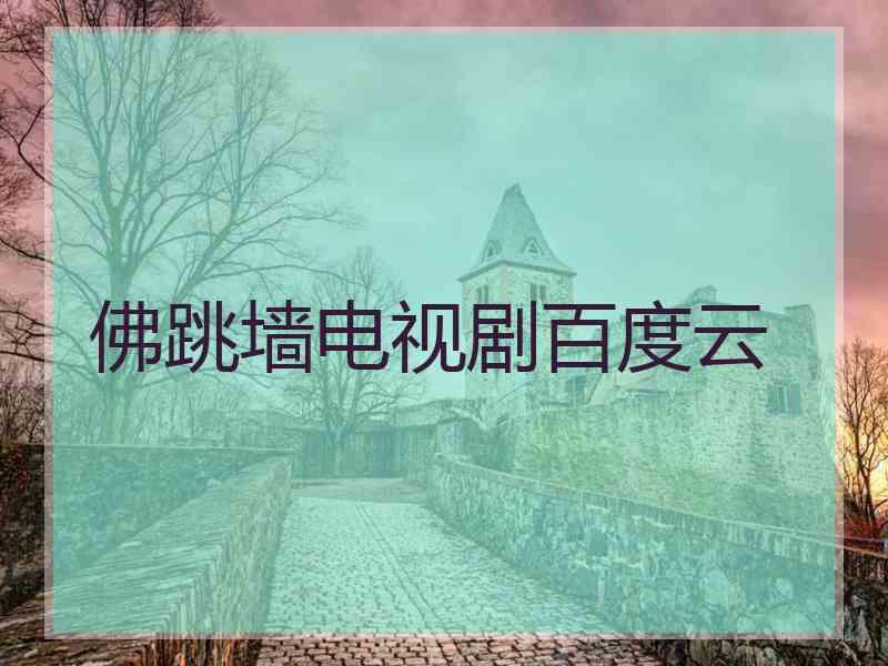 佛跳墙电视剧百度云