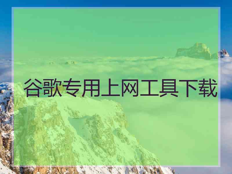 谷歌专用上网工具下载