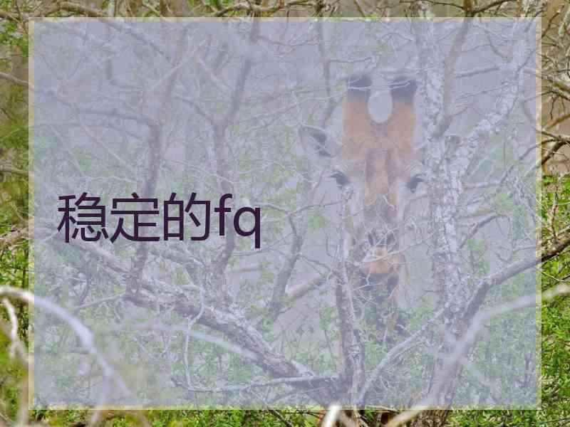 稳定的fq