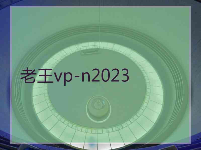 老王vp-n2023