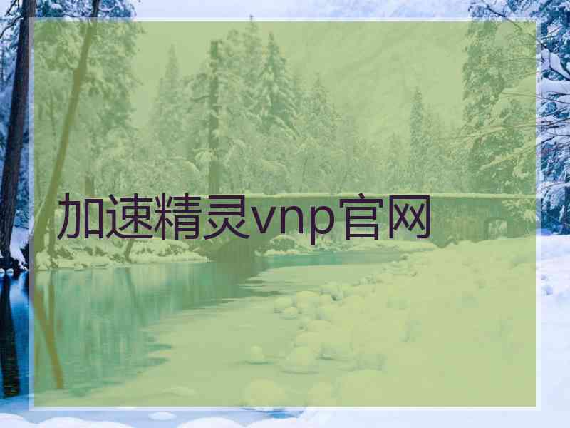 加速精灵vnp官网