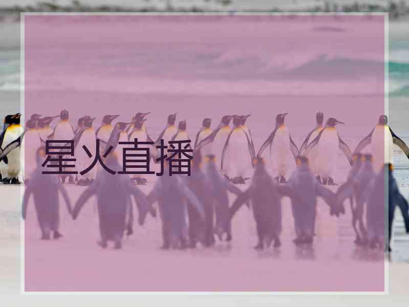 星火直播