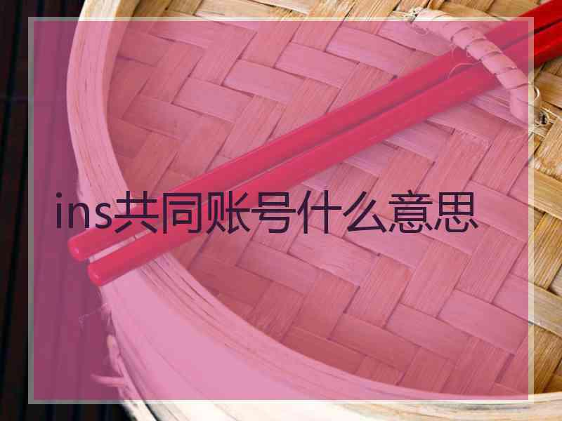 ins共同账号什么意思