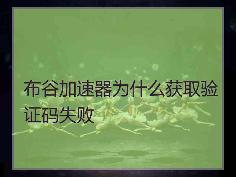布谷加速器为什么获取验证码失败