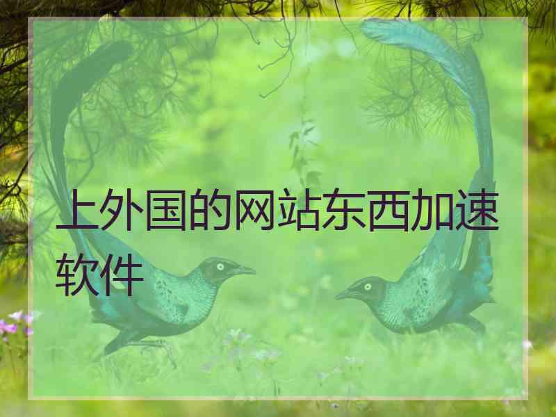 上外国的网站东西加速软件