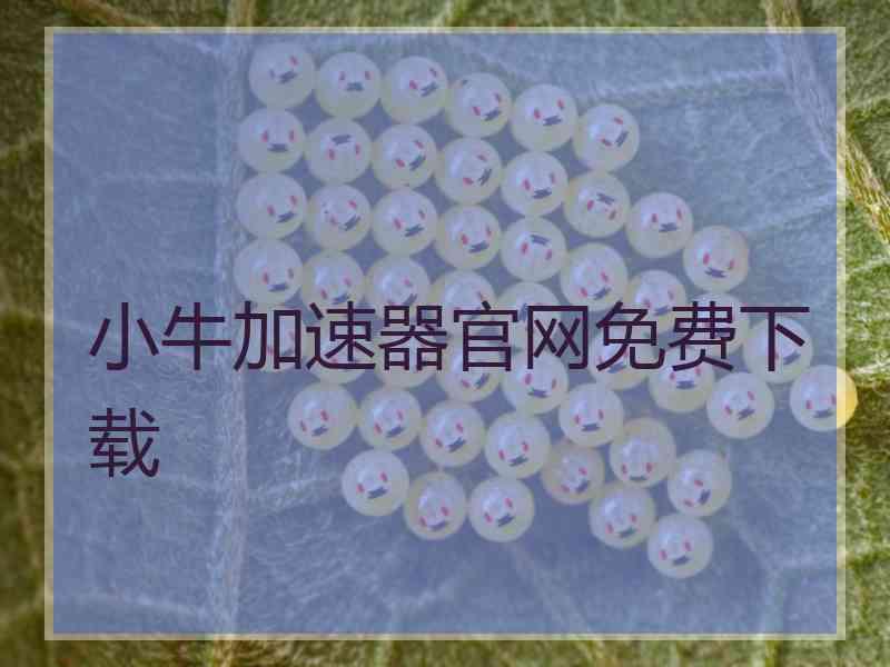 小牛加速器官网免费下载