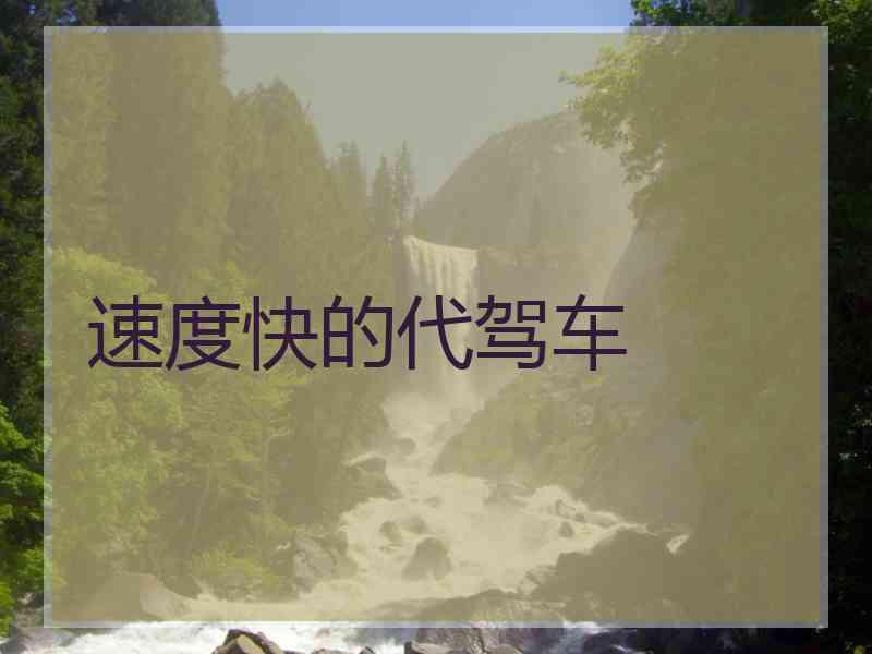 速度快的代驾车