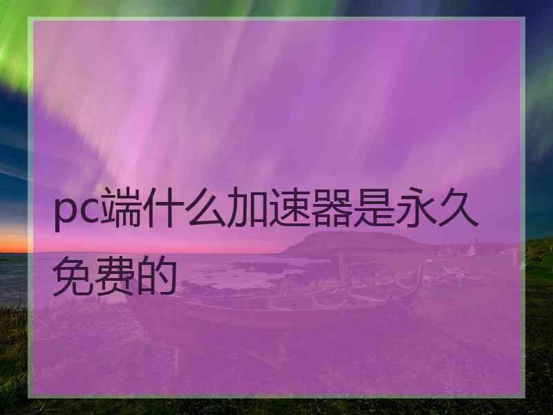 pc端什么加速器是永久免费的