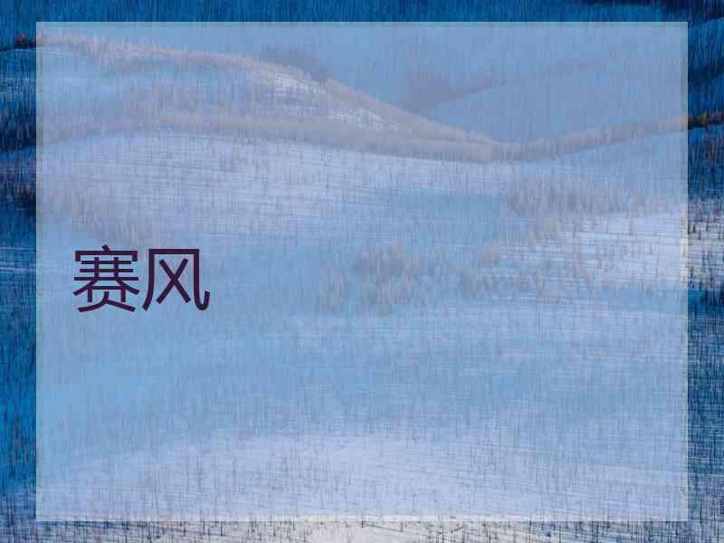 赛风