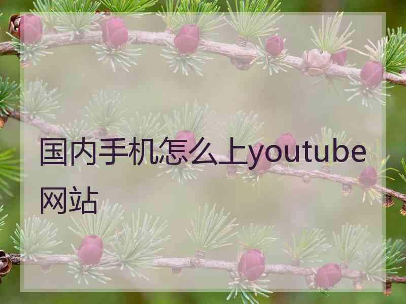 国内手机怎么上youtube网站