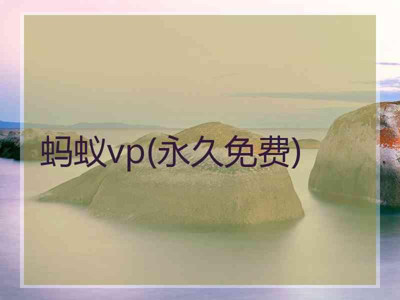 蚂蚁vp(永久免费)