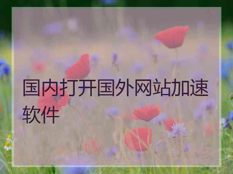 国内打开国外网站加速软件