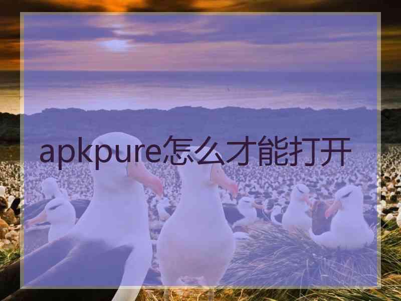 apkpure怎么才能打开