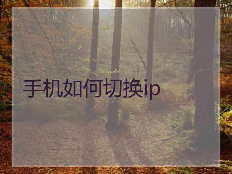 手机如何切换ip