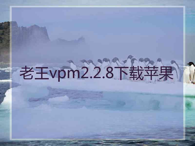 老王vpm2.2.8下载苹果