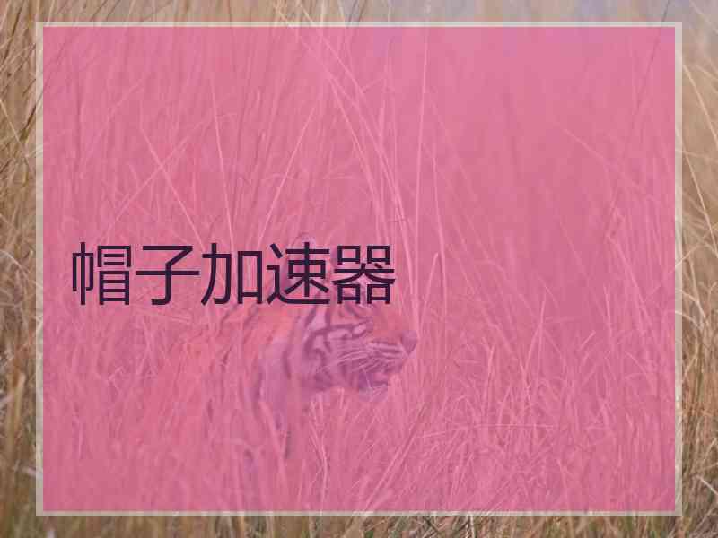 帽子加速器