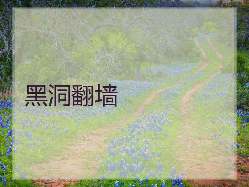 黑洞翻墙