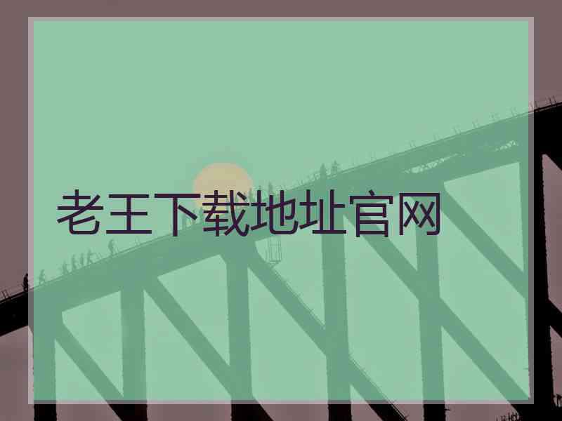 老王下载地址官网