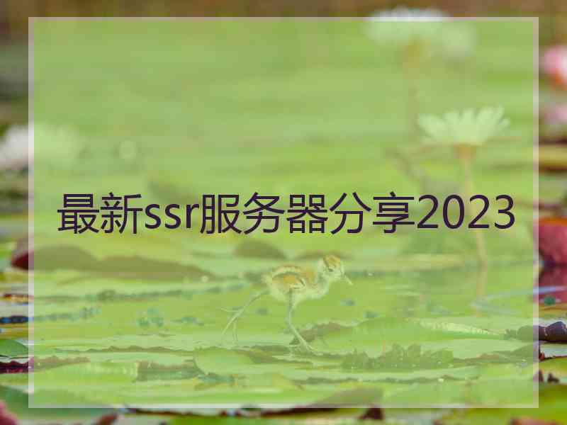 最新ssr服务器分享2023
