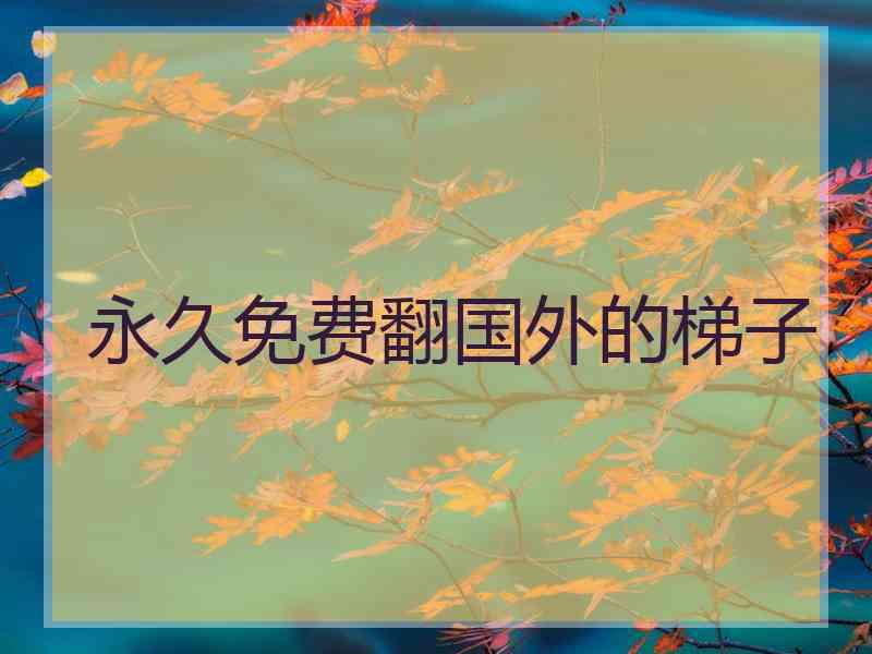 永久免费翻国外的梯子