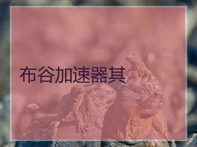 布谷加速器其